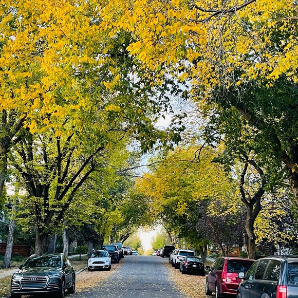 Meet your Posher, Samantha - Picture 1 of 1